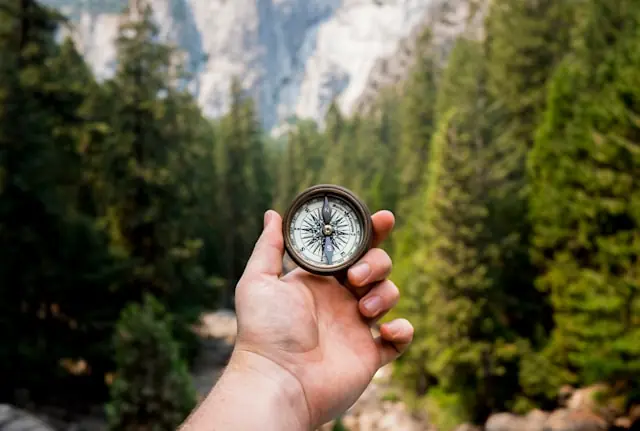 Hand hält einen Kompass vor bewaldeter Berglandschaft als Bezug zum Psychedelika-Entwickler Compass Pathways