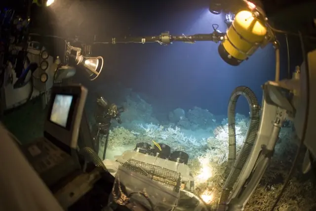 Deep Sea Mining: Das Rennen am Meeresgrund