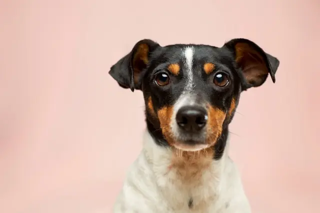 Datadog überrascht mit Rekordumsatz und treibt die Aktie 31 Prozent
