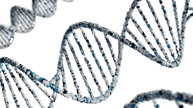 ABIVAX springt 26% – 3D-Illustration einer DNA-Doppelhelix 3D-Illustration einer blauen DNA-Doppelhelix vor weißem Hintergrund im Kontext der Kursrally beim Biotech-Unternehmen ABIVAX