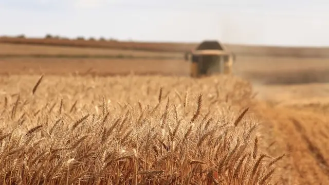 Ein Farmland-REIT ist eine Aktie und keine Wiese Ein Farmland-REIT ist eine Aktie und keine Wiese