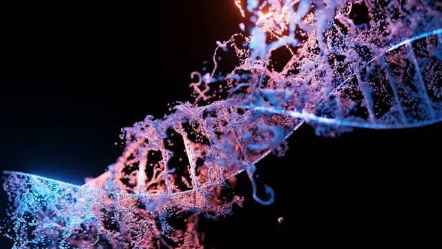 Moderna-Aktie verliert 24 Prozent mit DNA-Doppelhelix in Blau und Rosa Digital gerenderte DNA-Doppelhelix aus blau und rosa leuchtenden Partikeln vor schwarzem Hintergrund als Bezug zum Kurssturz der Moderna-Aktie nach der Rekordrally